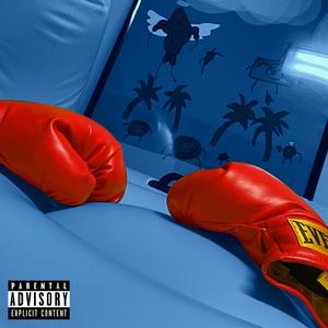 BOXIN RING (feat. SugarDuckey) (Radio Edit)