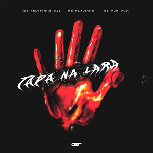 TAPA NA CARA (Explicit)