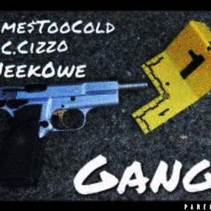 Gang (feat. Jame$toocold & NeekOwe) (Explicit)