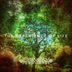 The Experience of Life