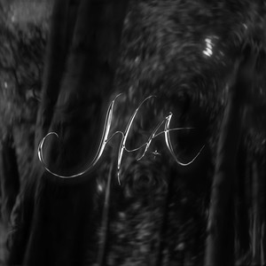 ĐẠI DƯƠNG CỦA EM