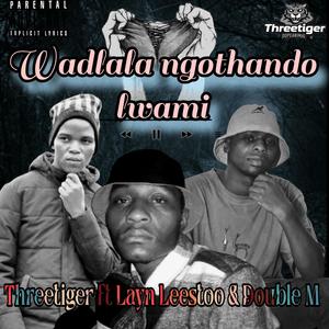 Wadlala ngothando lwami (feat. Layn Leesto & Double M)