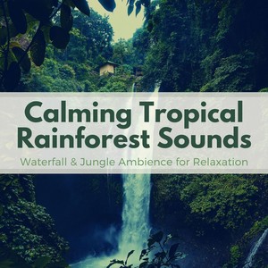 Calming Tropical Rainforest Sounds: Waterfall & Jungle Ambience for Relaxation