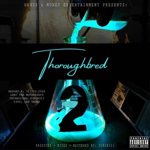 Thoroughbred (feat. Player Chris) [Explicit]