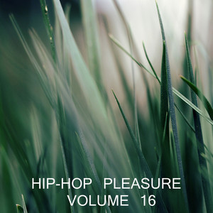 Hip Hop Pleasure, Vol. 16