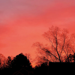 It Will Never Be The Same (Explicit)