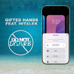 Do Not Disturb (feat. Intalek)