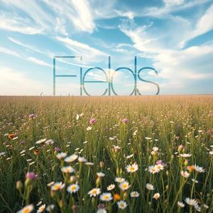 Fields (Explicit)