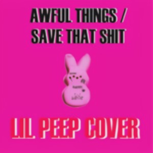 Awful Things/Save That **** (Acoustic Cover) [Explicit]