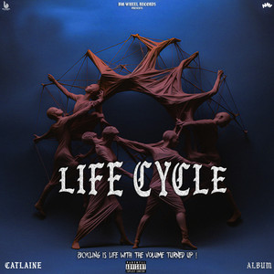 Life Cycle