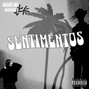 Sentimentos Destruidos (feat. W1nterr) (Explicit)