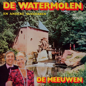 Oude Muzikant