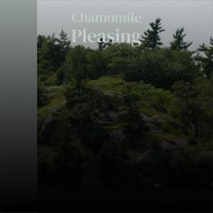 Chamomile Pleasing