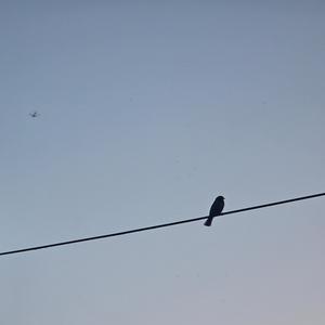 Gnahatakand (feat. MikS)