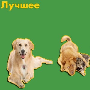 Лучшее