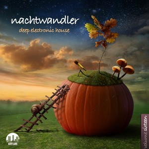 Nachtwandler, Vol. 16 - Deep Electronic House