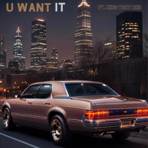 U Want It (feat. King Tony RHE) [Explicit]