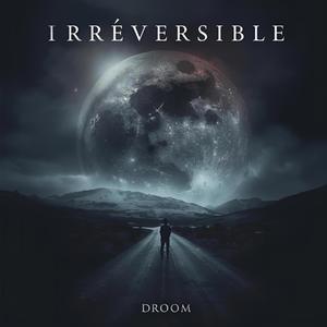 Irréversible