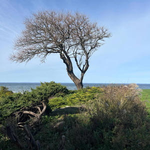 Jaaxx - My o My (Explicit)