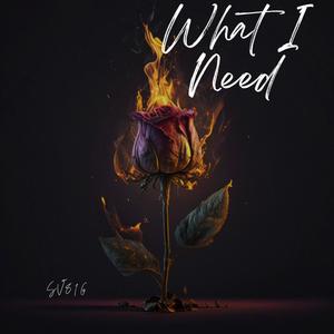 What I Need (Explicit)