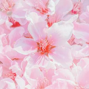 Dont Fret I Don't Ever Wanna See You (Sped) (Explicit)