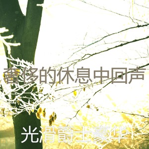 奢侈的休息中回声