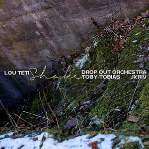 Shake (Drop Out Orchestra Remix)