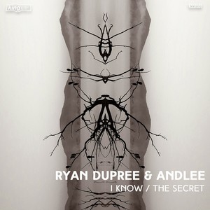 Ryan Dupree - The Secret
