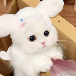 快睡觉啦！大笨蛋