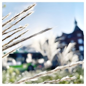 C. Saint-Saëns - Romance for Horn & Piano, Op. 36; R. 195