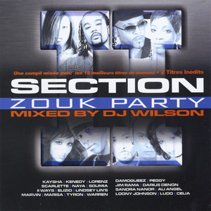 Section Zouk Party, Vol. 2