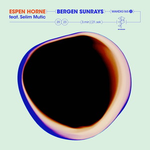 Bergen Sunrays [feat. Selim Mutic] (Session Victim Remix)