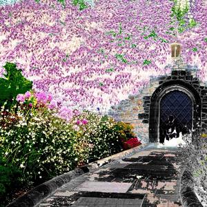 tug my arm (2021) (feat. Linc & DirtyBoys) (Explicit)