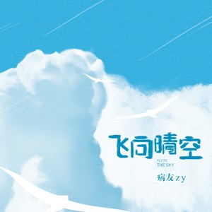 飞向晴空