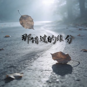 田园 - 那错过的缘分 (迟来的深情语录版)