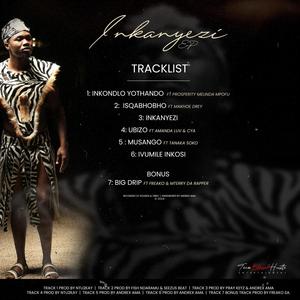 Big Drip (feat. Freako SA & MterryDaRapper)