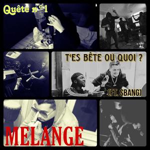 T'es bête ou quoi ? (feat. Big Sbang) (Explicit)