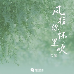 风往你怀里吹