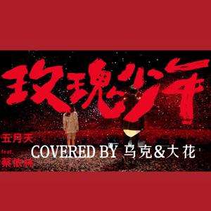 玫瑰少年封面