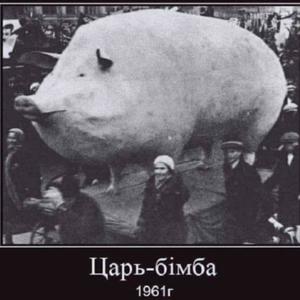 PURCEAUA LUI MOSKOVACI