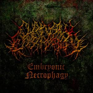 Embryonic Necrophagy (Explicit)