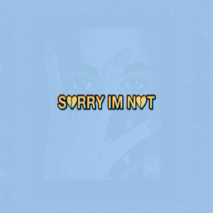 Sorry Im Not (Explicit)