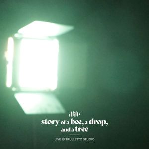 Story of a Bee, a Drop, and a Tree (Live at Trulletto Studio)