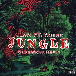 Jungle(Remix)