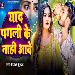 Yaad Pagli Ke Nahi Ave