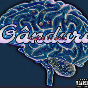 Gânduri (feat. SECC) [Explicit]