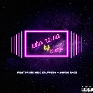 who na na (feat. King Kalypsoh & Young R4G3) (Explicit)