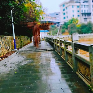 甘心情愿爱着你