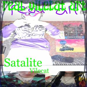 Satalite