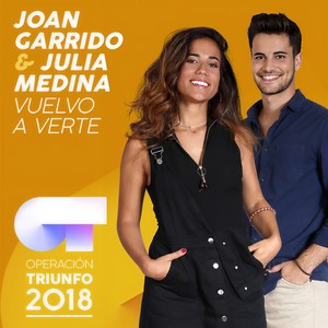 Vuelvo A Verte (Operación Triunfo 2018)